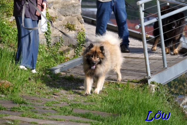 19.4.2025 - Auf zur Br&uuml;cke